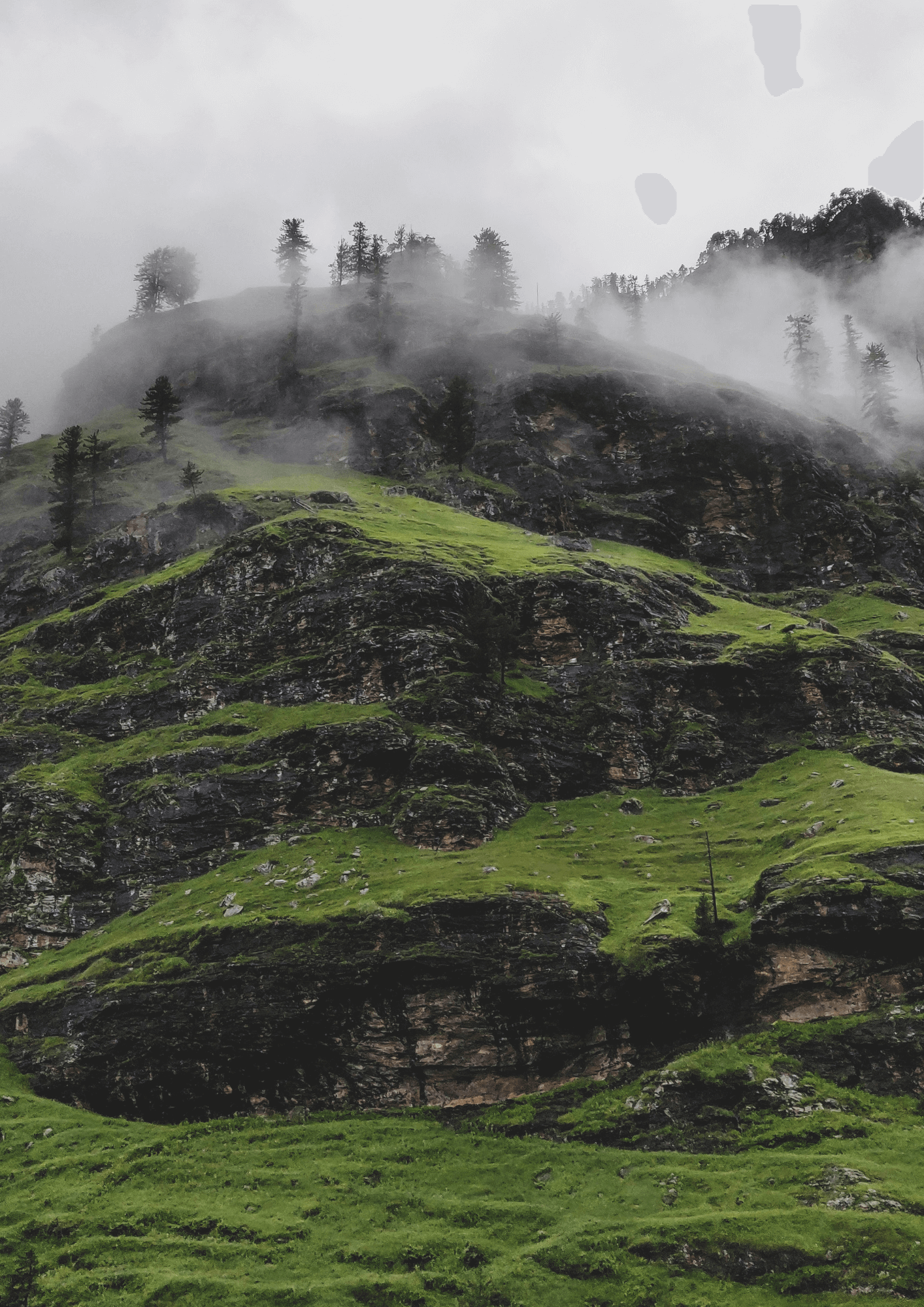 Kashmir basic